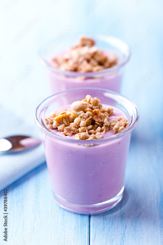 Bilberry Yogurt with Granola Bilberry Yogurt with Granola