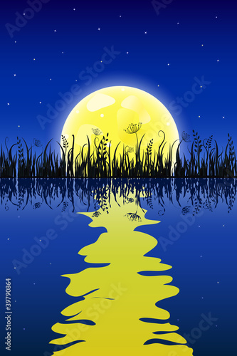 Yellow moon with reflection at water and grass meadow