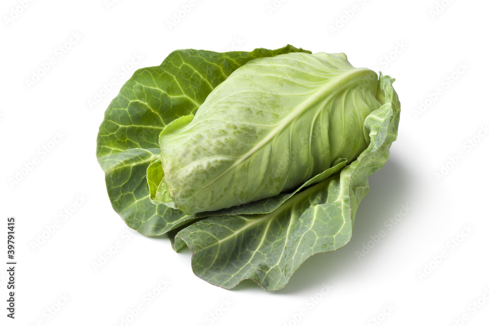 Fresh organic pointed cabbage Fresh organic pointed cabbage