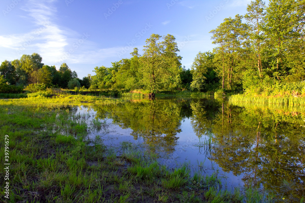 River bank in the forest at the sunset River bank in the forest at the sunset
