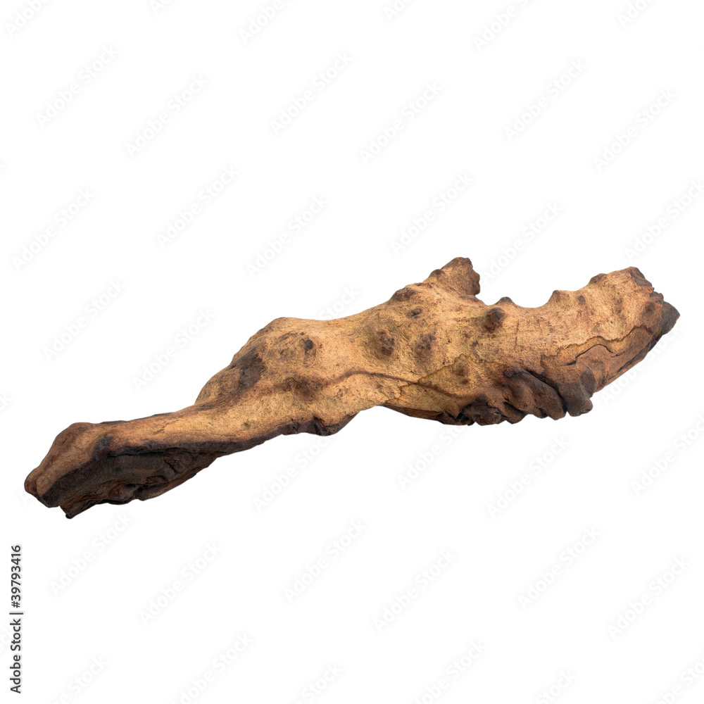 tree old piece isolated on white (clipping path) tree old piece isolated on white (clipping path)