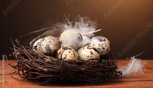 quail eggs in nest on wooden table on brown background