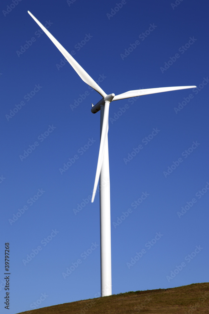 Wind energy, wind turbine in a field Washington state. Wind energy, wind turbine in a field Washington state.