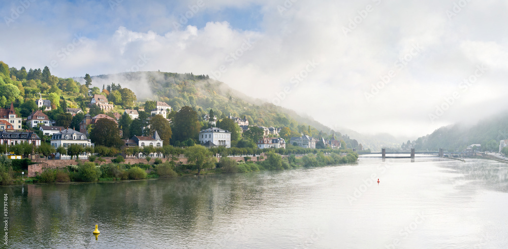 Morgennebel über dem Neckar