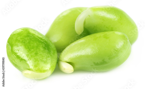 Wallpaper Mural Edible seeds of hyacinth bean or Indian bean Torontodigital.ca