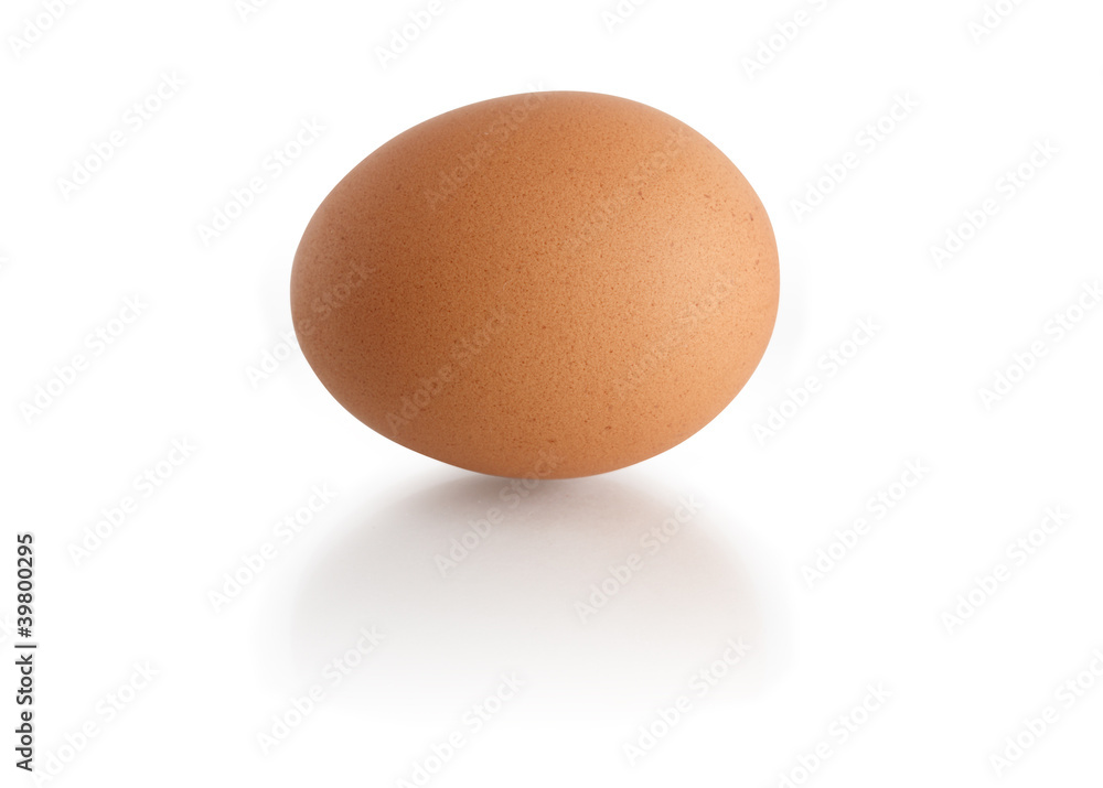Egg On White Egg On White