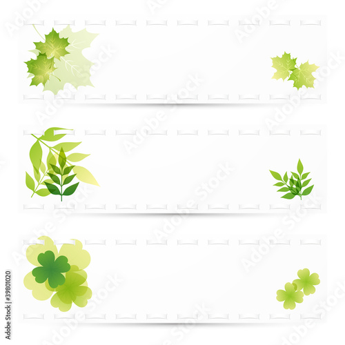 green leaves background set