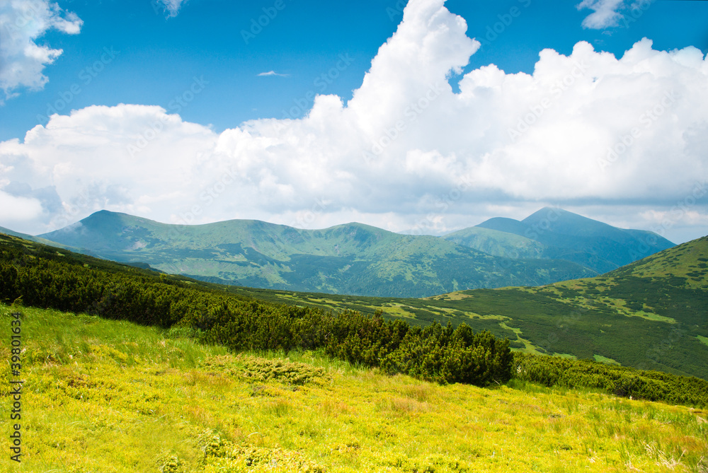 Fototapeta premium Carpathian mountains