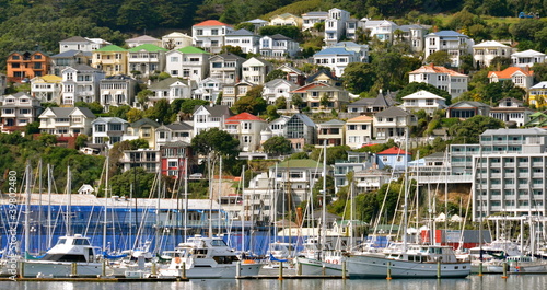 wellington