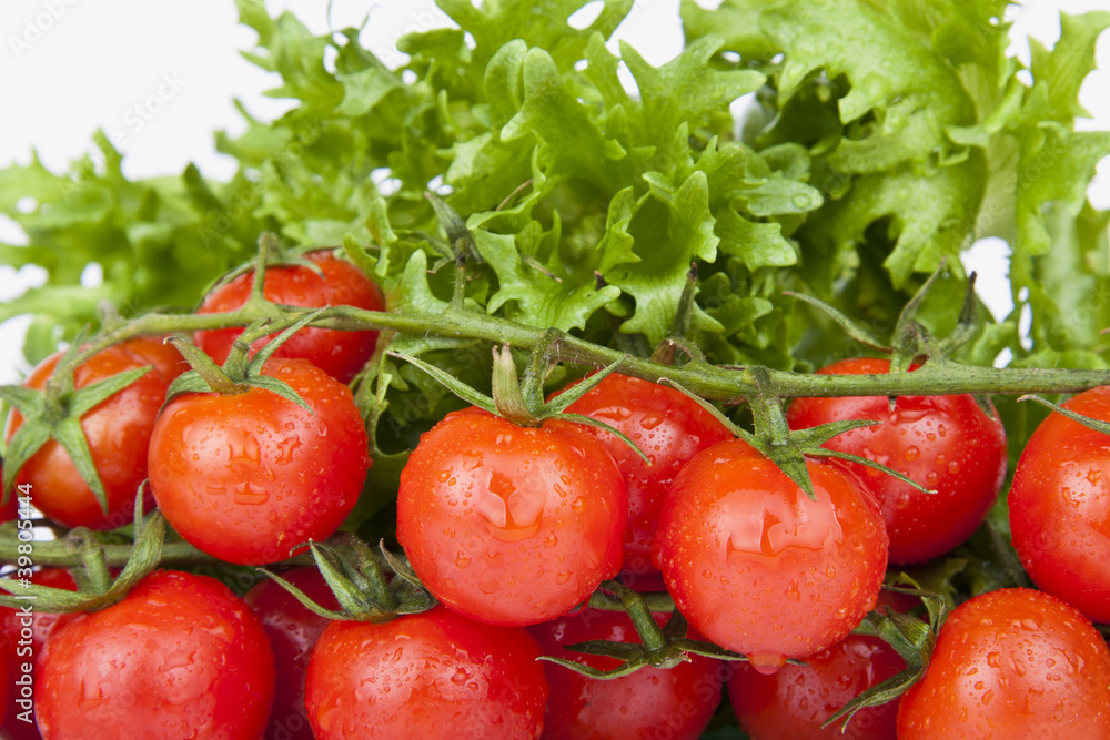 Fresh Cherry Tomatoes and green Salad