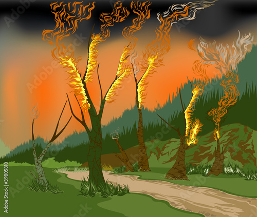 Seasonal forest fires and forest destruction