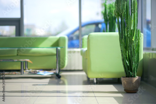 Two green comfortable sofas in the interior