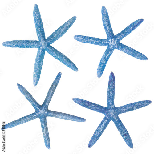Blue starfish collection