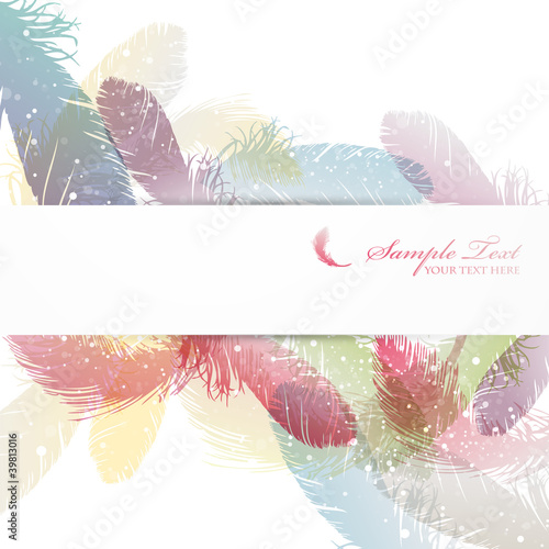 feather background