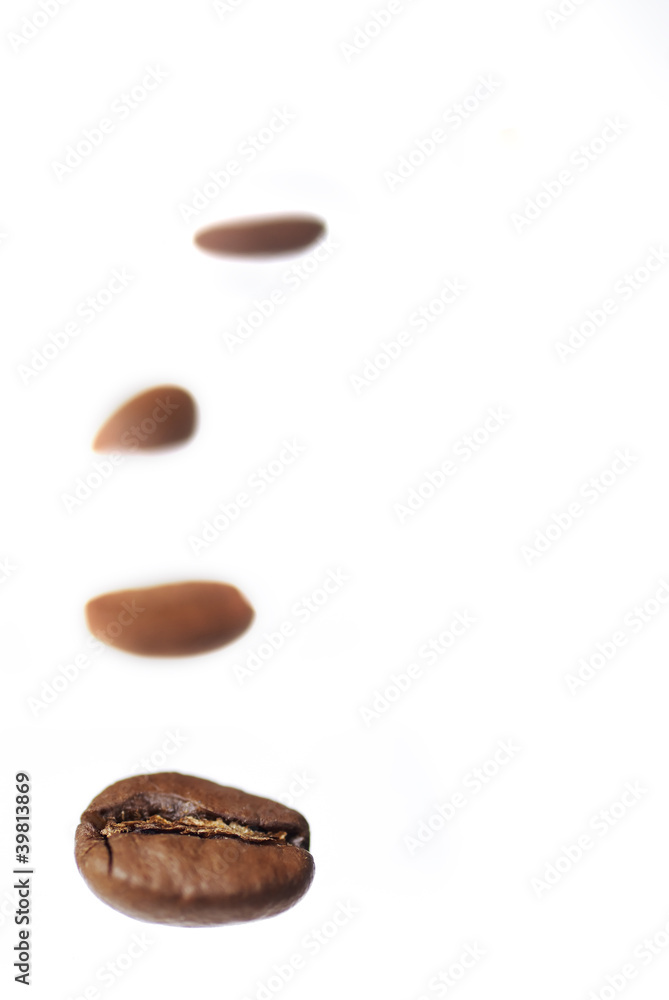 Row of Arabica Coffee Beans. Row of Arabica Coffee Beans.