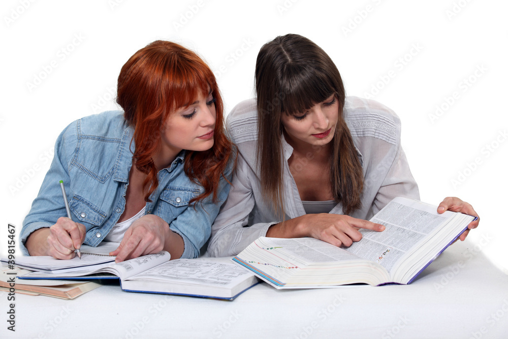 Girlfriends doing homework isolated on white background Girlfriends doing homework isolated on white background
