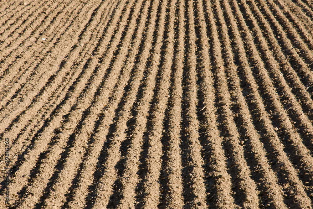A ploughed field waiting for new crops A ploughed field waiting for new crops