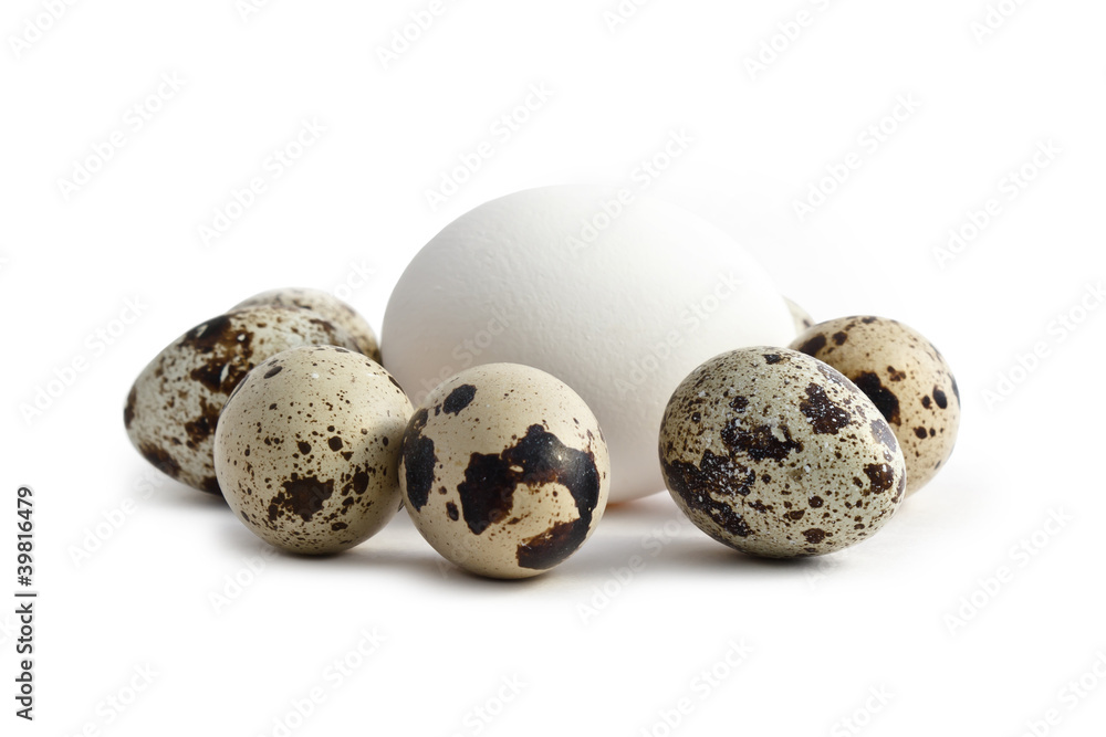 Eggs on white background Eggs on white background