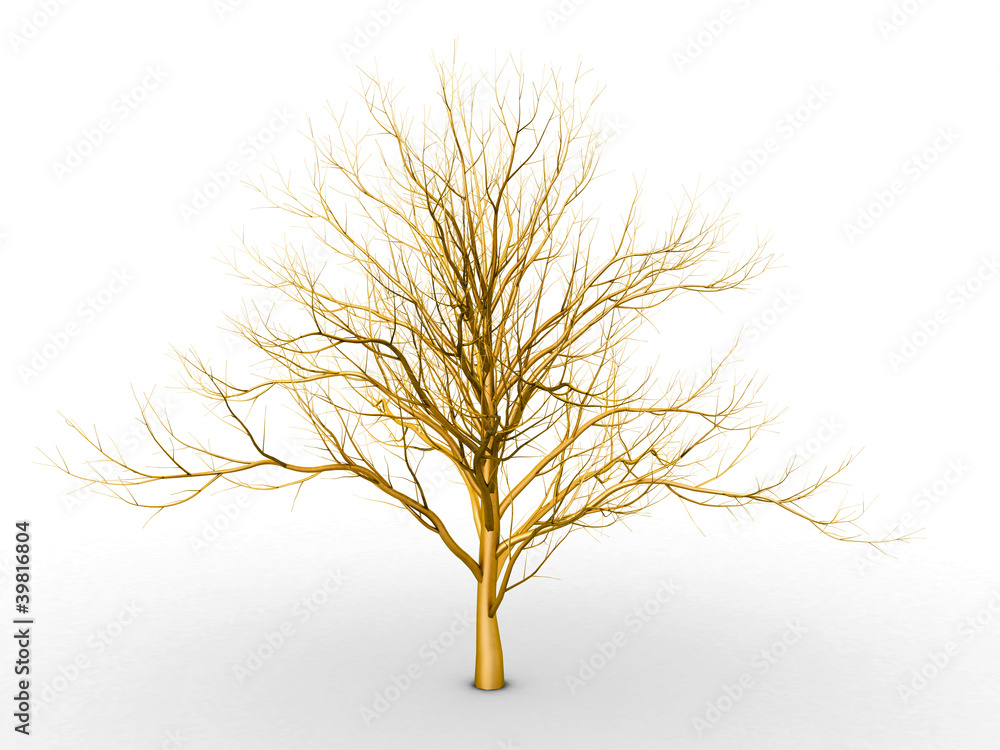 Fototapeta premium The golden tree on a white background