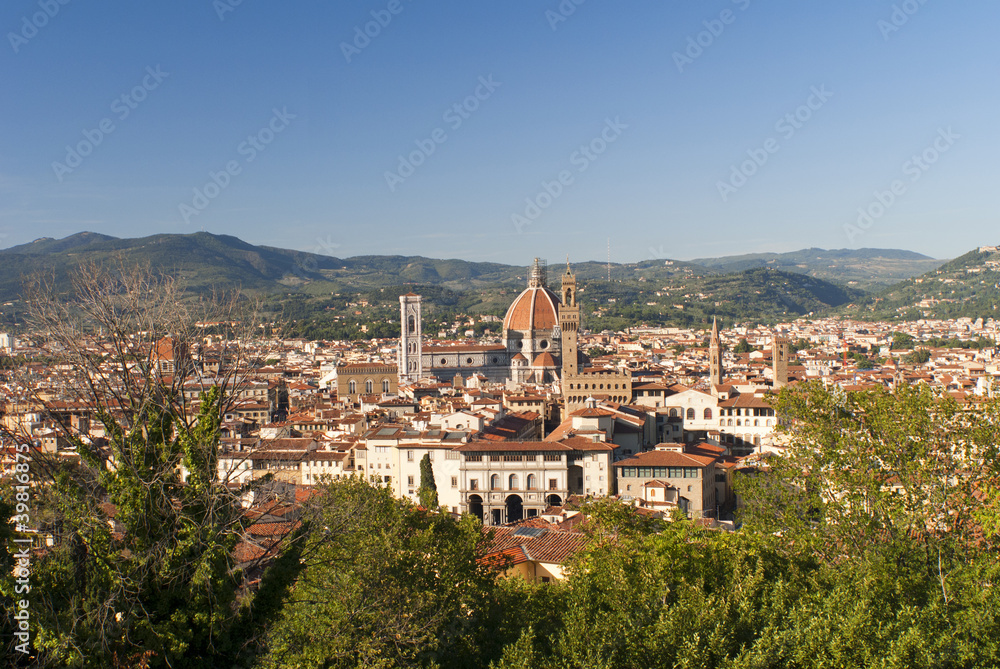 View of the city from Minitao Church in Florence Italy