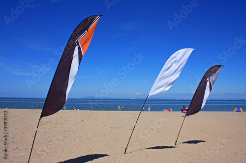 flags on beach photo