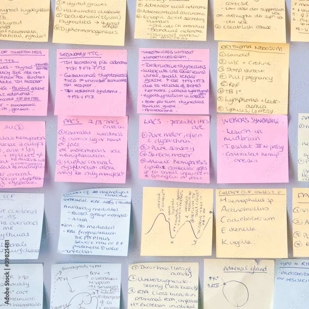 Naklejka premium Revision notes