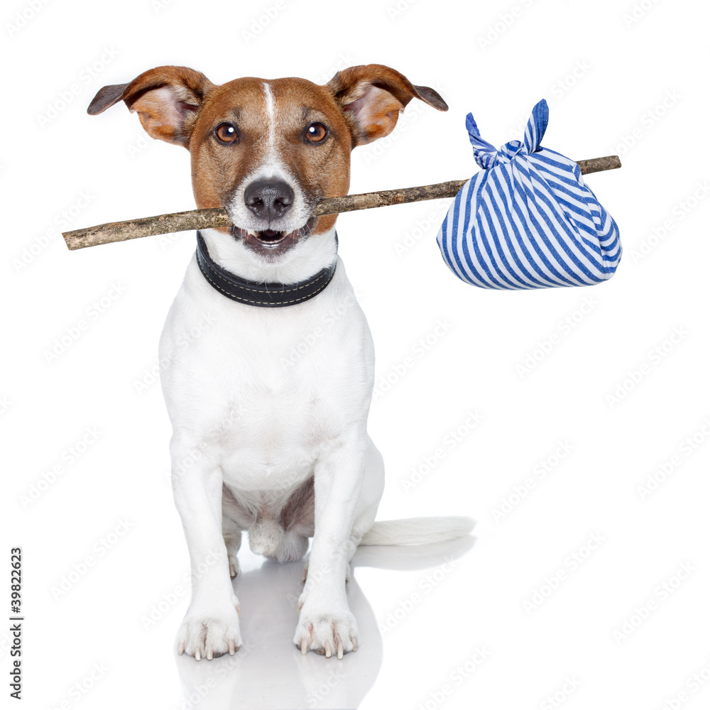 dog with a stick and a blue bad - obrazy, fototapety, plakaty 