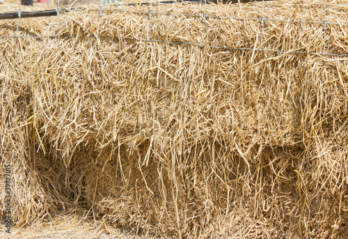 Pile of straw in the mesh photo