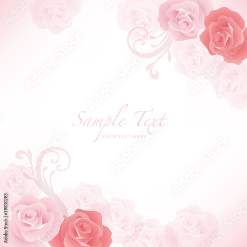 rose background