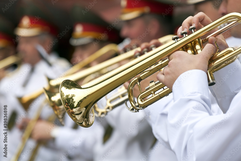 Obraz premium Military musicians