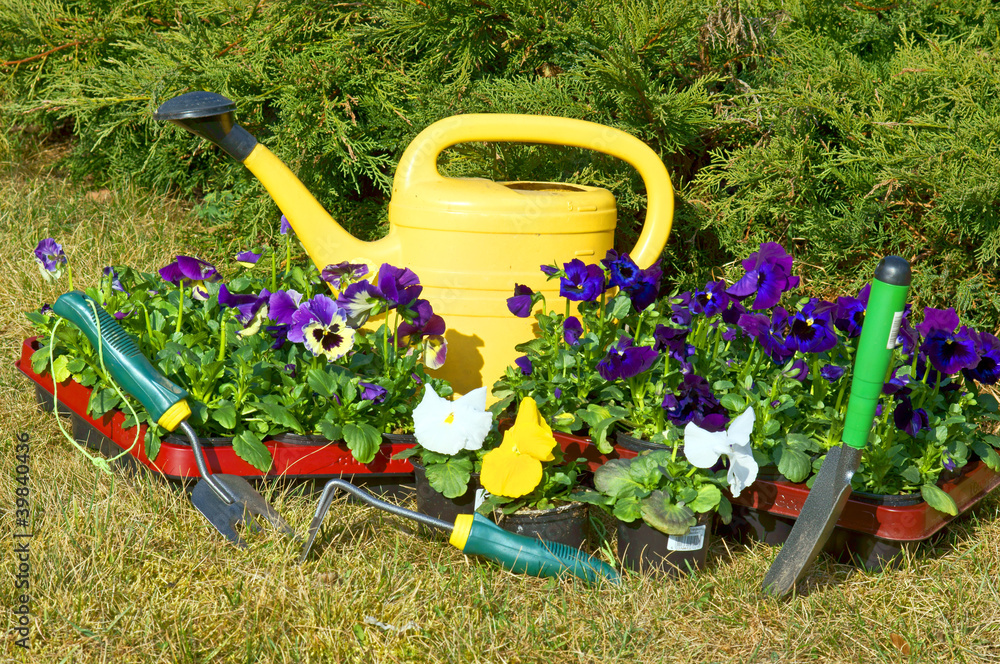 Gartenwerkzeug und Pflanzen