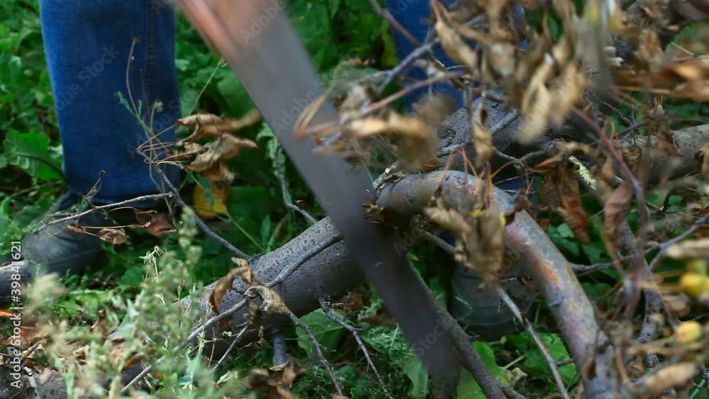 Man saws wood dried.