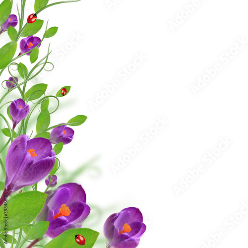 Beautiful floral design