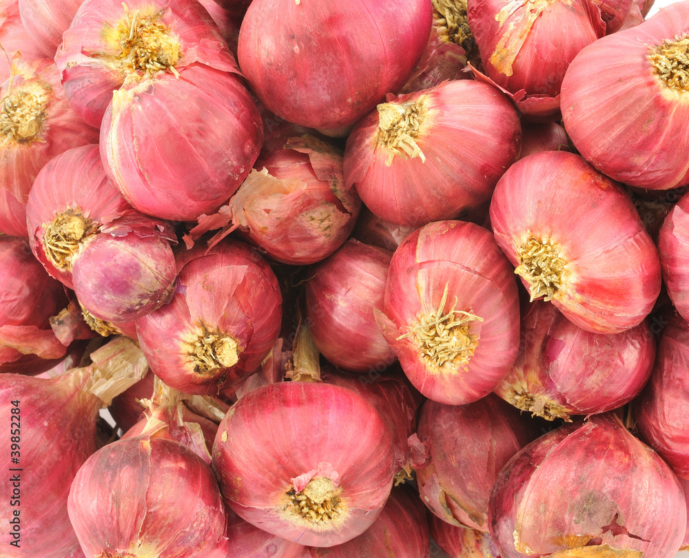 Shallot onions in a group