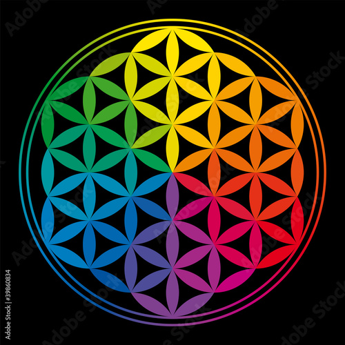 Flower of Life rainbow colors, geometric figure, composed of multiple overlapping circles. Strong symbol since ancient times, forming a flower-like pattern. Illustration on black background. Vector.