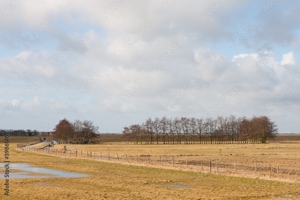 Dutch polder near Marken