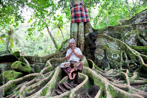 Spiritual man sits under the tree, Bali photo