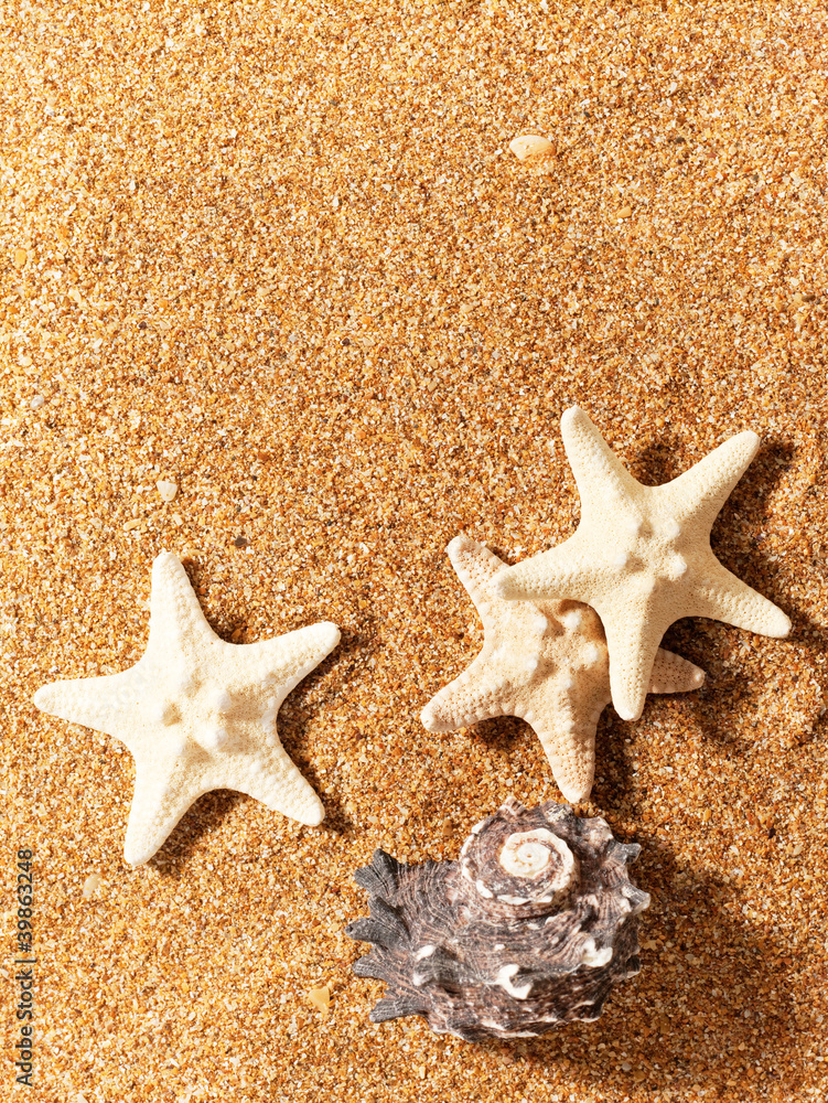 Abstract marine backgrounds over sea sand Abstract marine backgrounds over sea sand