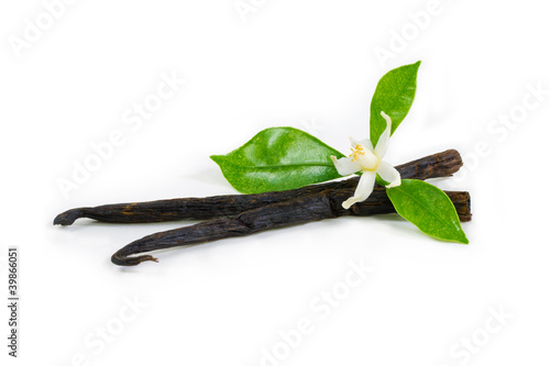 Vanilla sticks with flower