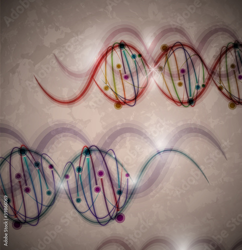 DNA molecule
