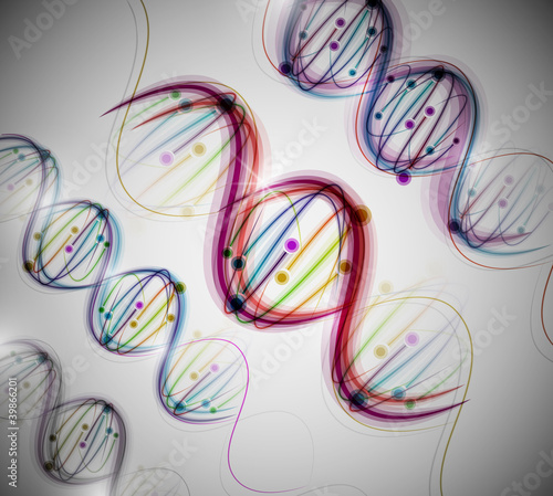 DNA molecule