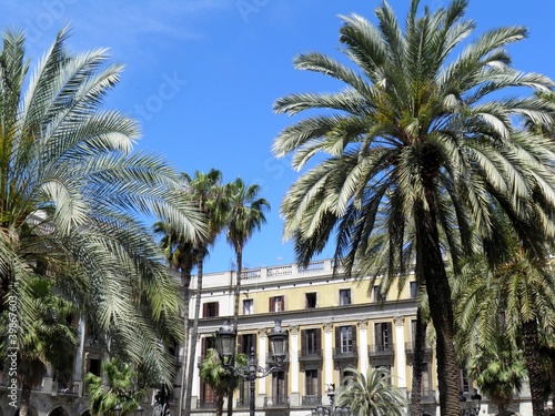 Plaza Real, Barcelona © Joan Quevedo Fle