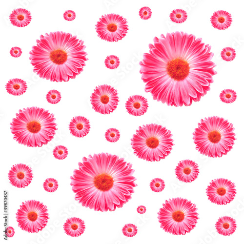 Frame Pink Gerbera Flowers