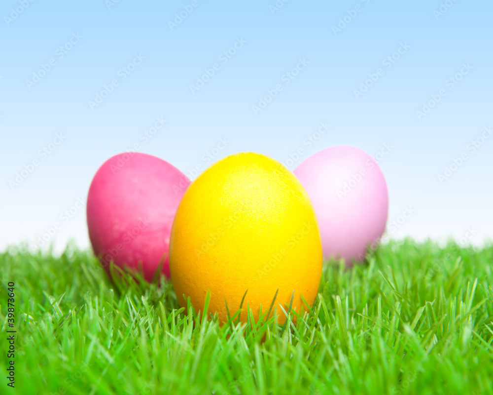 .Three decorated easter eggs in the grass with daisies