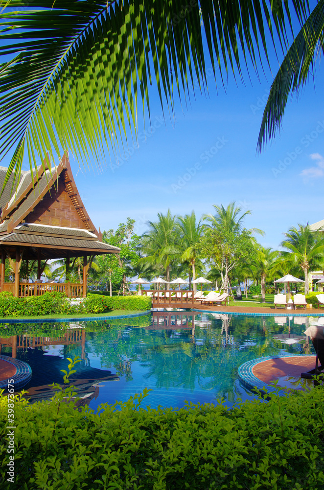 pool with coconut tree