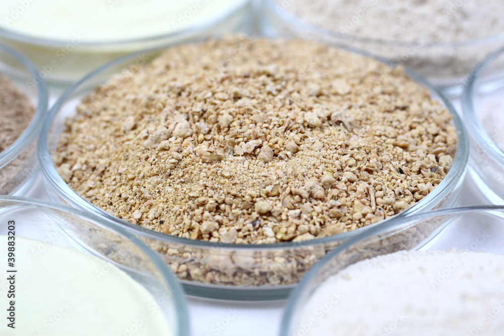 Animal food in a glass bowls
