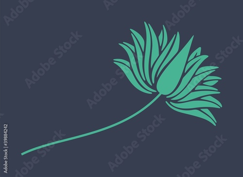 Fototapeta Naklejka Na Ścianę i Meble -  water lily, India