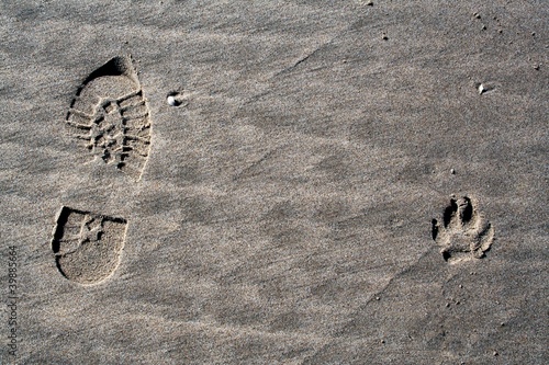 Pfotenabdruck und Schuhabdruckt im Sand