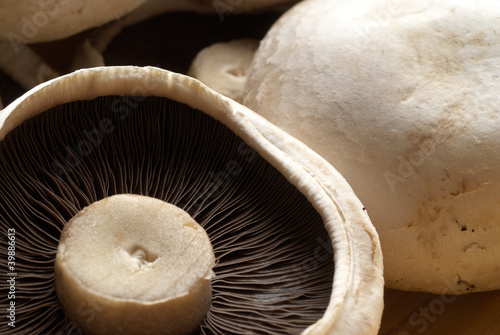 Flat mushrooms
