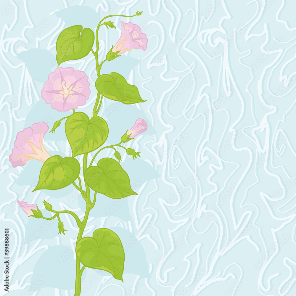 Obraz premium Background with flowers Ipomoea